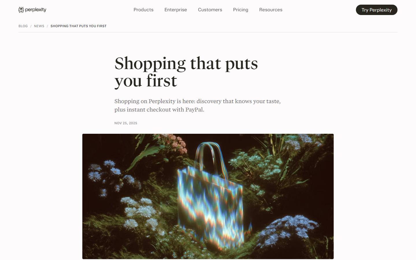 Perplexity's blog post titled Shopping that puts you first, dated 25 November 2025, captured 8 October 2026.